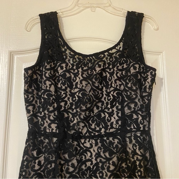 The Limited Black and Cream Lace Mini Dress - Picture 3 of 10
